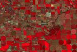 Des données satellites quotidiennes dans les applications de gestion des agriculteurs ?
