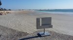 Un outil numérique collaboratif pour surveiller le littoral de Gâvres