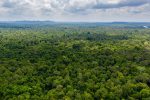 Capgemini accompagne l’Agence Spatiale Européenne dans l’exploration des données d’observation des forêts depuis l’espace