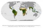 Planet, KSAT Et Airbus remportent le premier contrat mondial de lutte contre la déforestation