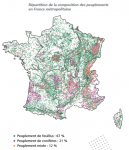 Inventaire forestier national, état des lieux d’une forêt en pleine évolution !