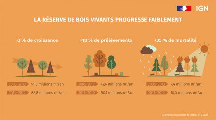 Inventaire forestier national